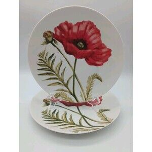Roscher Red Poppy Lunch Plate Salad Botanical Summer 8" Set Of 2